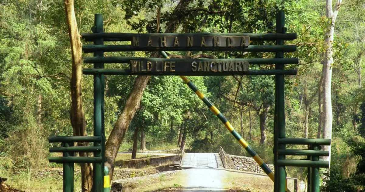 Mahanadi Wildlife Sanctuary