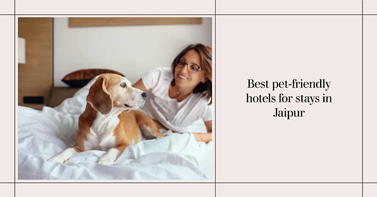 Best pet-friendly hotels for stays in Jaipur